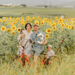 New Farm Park: Best Family Photoshoot Location in Brisbane CBD