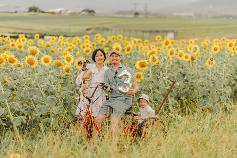 The Best Sunflower Photoshoot Locations in Brisbane and the Gold Coast
